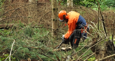 Foto van Ecopedia