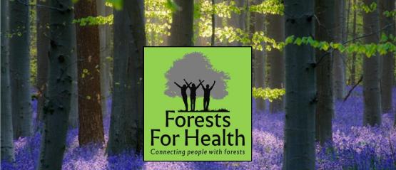 Foto van Forests for Health-professionals