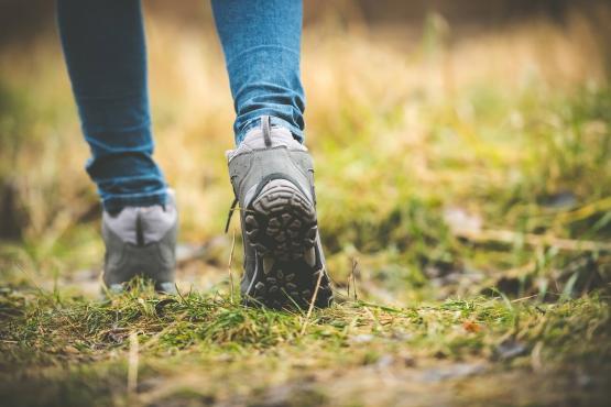 Foto van Coachen in de natuur: Naar een loopbaan die in je natuur ligt