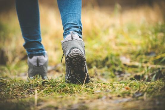 Foto van Coachen in de natuur:  Naar een loopbaan die in je natuur ligt