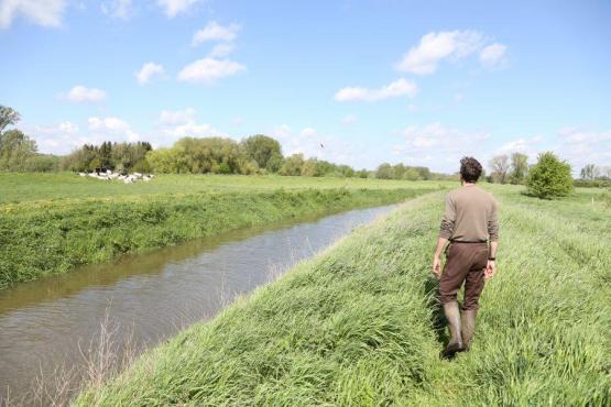 Foto van Natuur en Bos zoekt 3 straffe Natuurinspecteurs