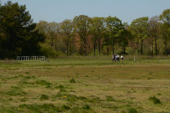 Foto van Vacature PROJECTCOÖRDINATOR Parkbos in Gent 