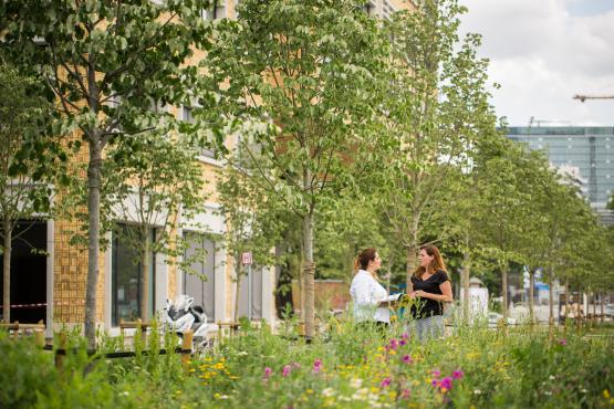 Foto van Natuurinvest zoekt administratief medewerker opleidingscentrum