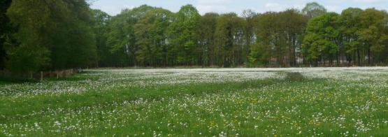 Foto van Domeinconcessies regio Turnhoutse Kempen