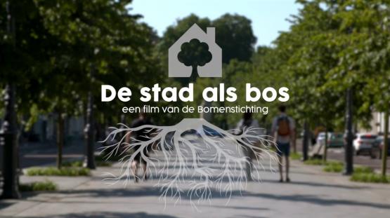 Foto van De stad als bos