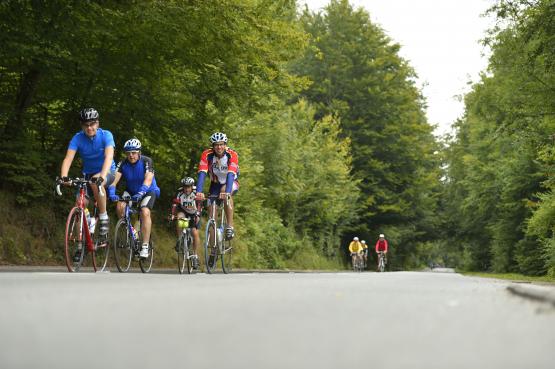 Foto van Vacature: Locatieverhuurder voor de Vlaamse natuur