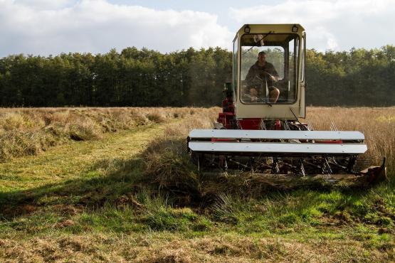 Foto van Demonstratie maaimachines natte graslanden - Grasgoed