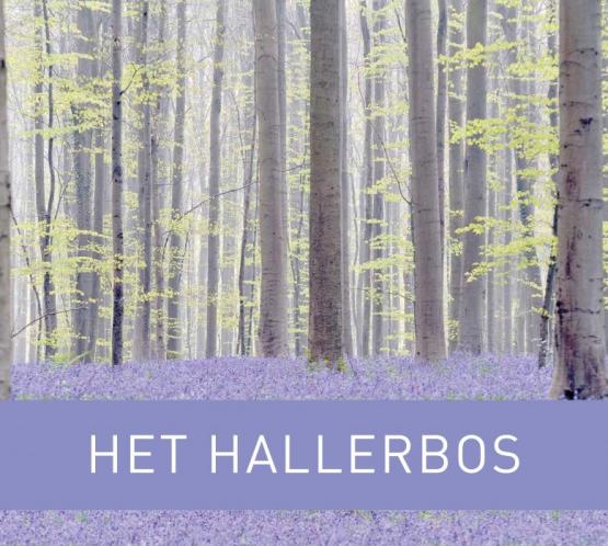 Foto van Cadeautip: het nieuwe boek van het Hallerbos