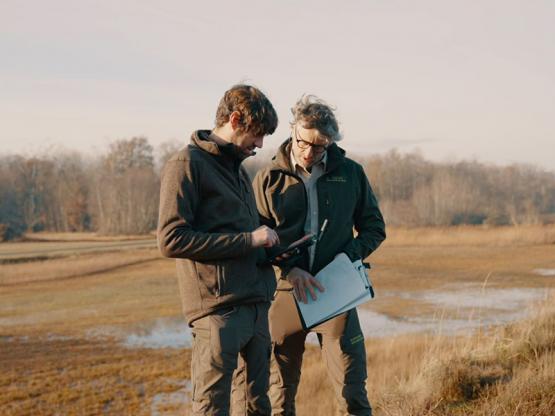 Foto van Natuurinvest zoekt diverse profielen voor de vernatting van de natuur