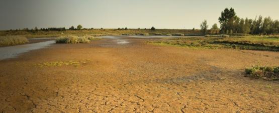 Foto van Natuurbeheer en klimaat