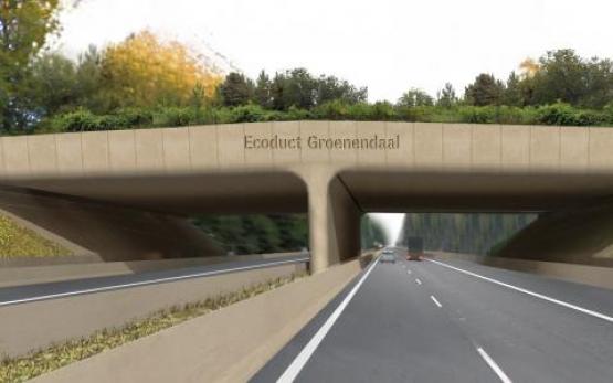 Foto van Ecoduct Groenendaal bestaat één jaar