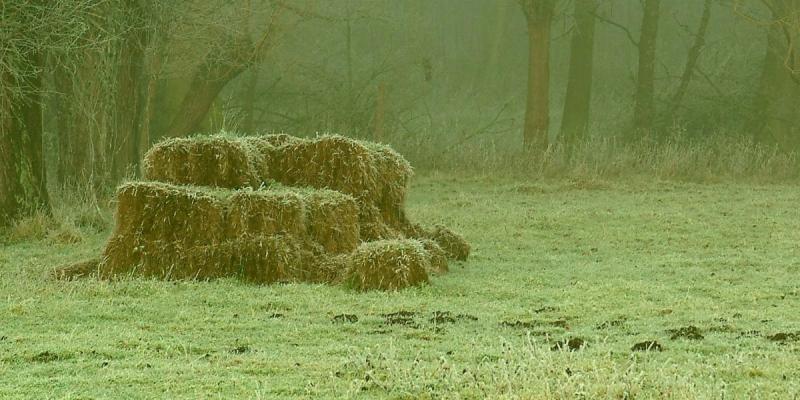 Concessies Hooibeheer of Begrazing/hooien