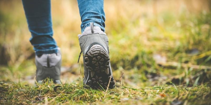 Coachen in de natuur:  Naar een loopbaan die in je natuur ligt