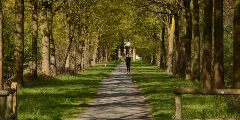 Projectcoördinator voor het project Parkbos Gent en het complex project Klein-Rusland