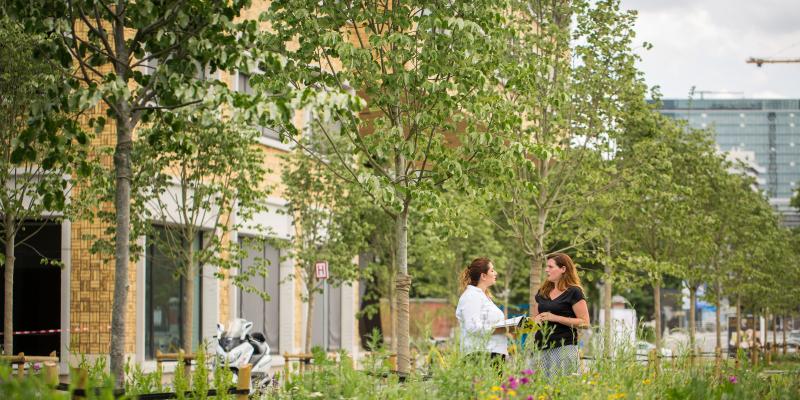 Natuurinvest zoekt administratief medewerker opleidingscentrum