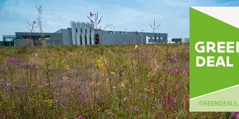 Green Deal bedrijven en biodiversiteit