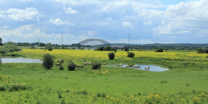 Conference: Using nature as a guide