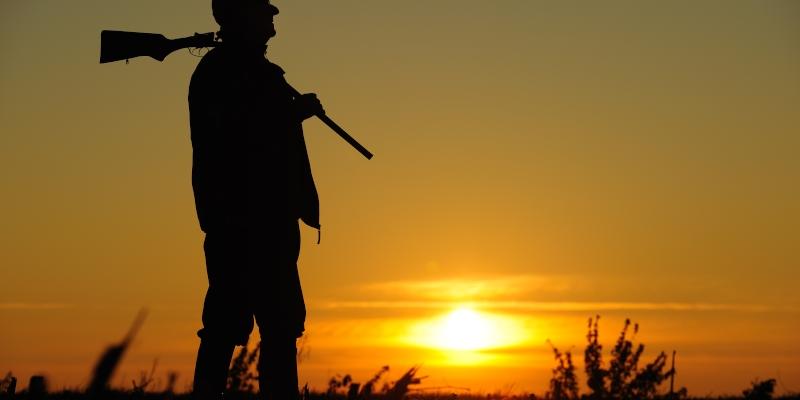 Verpachting jachtrechten Holsbeek en Tielt-Winge