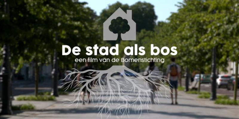 De stad als bos 