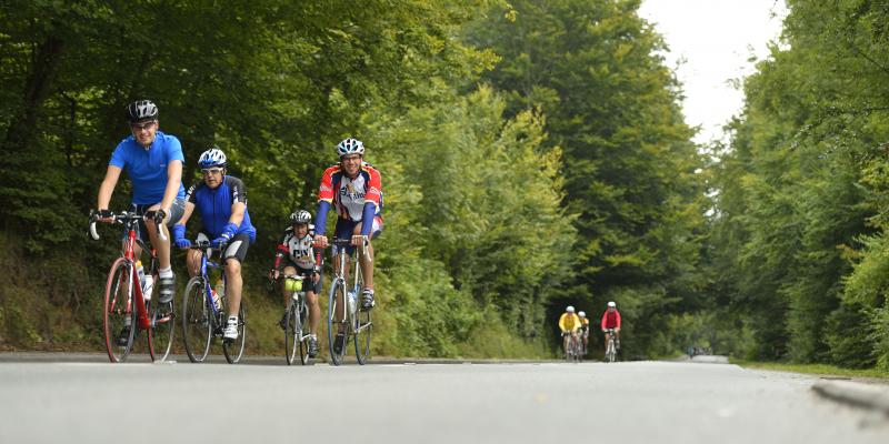 Vacature: Locatieverhuurder voor de Vlaamse natuur