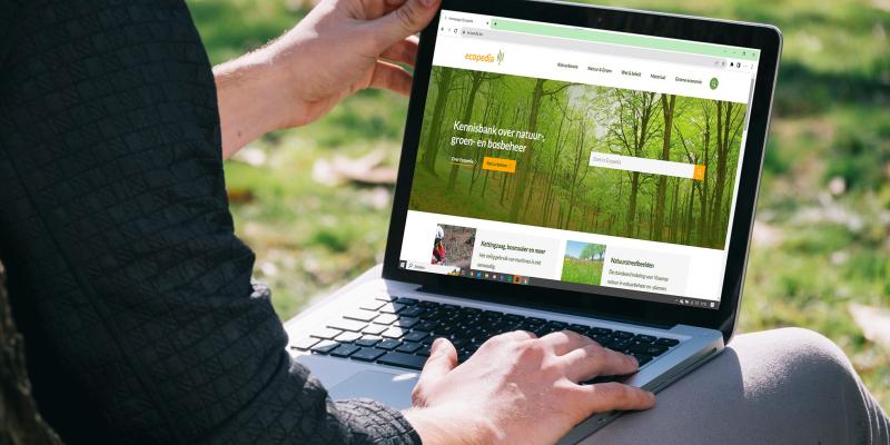 Het vernieuwde Ecopedia kennisplatform informeert je over bos-, groen- en natuurbeheer.