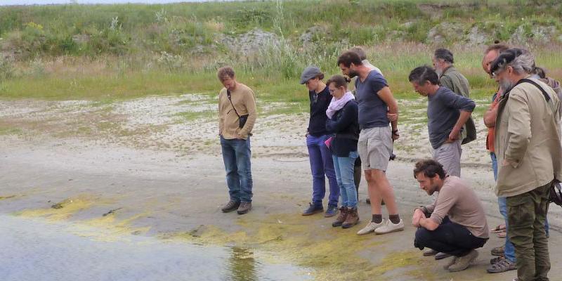 Info avond Ecologische Tuin- en Landschapsinrichting