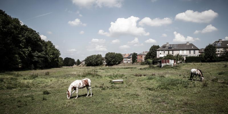 Onderzoeksteam gezocht voor een studie naar het open ruimte netwerk in Brussel