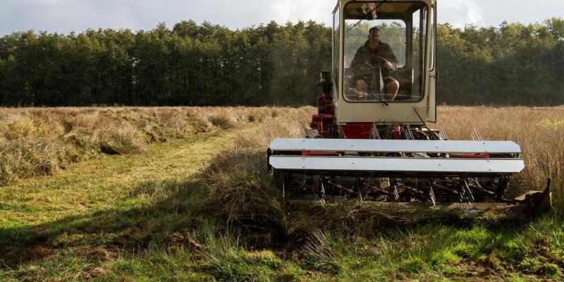 Demonstratie maaimachines natte graslanden - Grasgoed