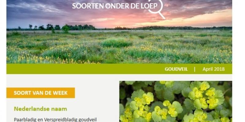 Microleren: soorten onder de loep