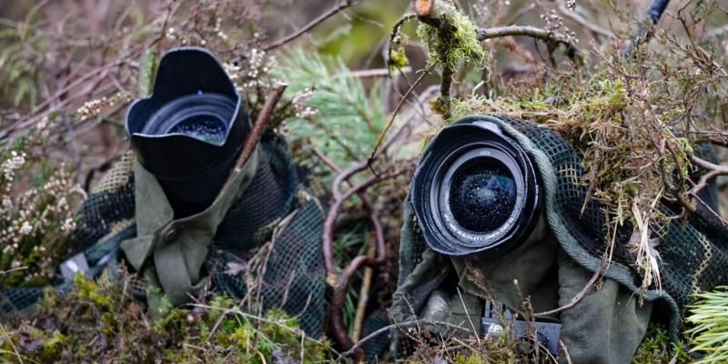 Onze Natuur: na de film, ook een (kinder)serie en film live in concert