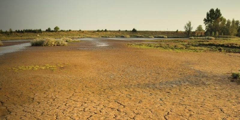 Natuurbeheer en klimaat