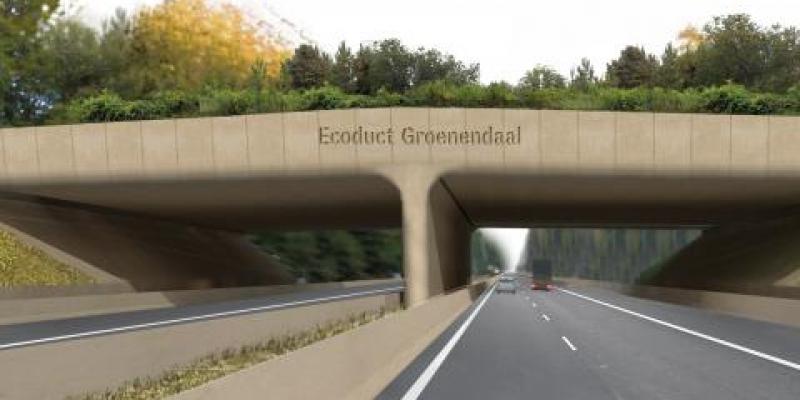 Ecoduct Groenendaal bestaat één jaar