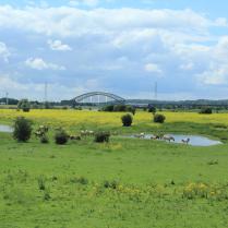 Conference: Using nature as a guide *Free entrance